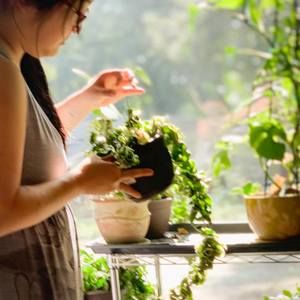 Meet your Posher, Kay